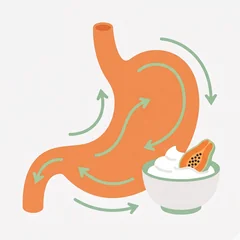 Digestion