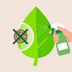 Fungal disease protector
