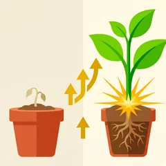 Growth promoter